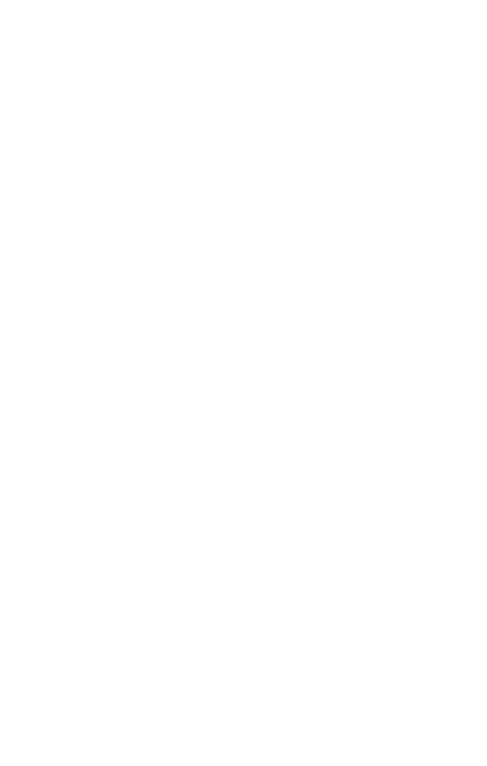 Merit International
